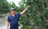 Giúp nông dân chuyển đổi cơ cấu cây trồng, mùa vụ, biến ruộng hoang thành cánh đồng tiền tỷ/ha 