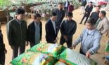 Hội Nông dân tỉnh Sơn La hỗ trợ hội viên 45 tấn phân bón phục vụ sản xuất