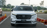 Cùng 7 chỗ nhưng Mitsubishi Outlander giá tốt hơn Honda CR-V  