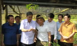 8 giờ 30 sáng nay (22/12) diễn ra Gala sâm Ngọc Linh trên đất Sơn La 