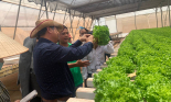 WinEco tập huấn kỹ thuật sản xuất nông nghiệp công nghệ cao cho gần 100 hợp tác xã và nông dân tỉnh Đồng Nai