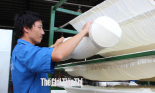 Nâng cấp nhãn hiệu Cao su Việt Nam thành thương hiệu nông sản quốc gia