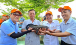Thi cá lóc lớn nhất, buồng chuối lớn nhất tại sự kiện Hương rừng U Minh