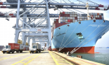 Maersk Việt Nam xin thí điểm dịch vụ vận tải xanh