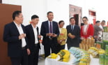 Ngành Nông nghiệp Sơn La đạt tăng trưởng 