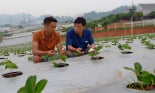 OCOP Sơn La - Đánh thức tiềm năng, gia tăng tiềm lực