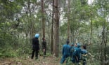 Đồng bào dân tộc Xinh Mun giữ rừng để có nước làm ruộng