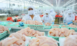 Cá tra Việt Nam thêm 1 đối thủ trên bàn ăn Trung Quốc