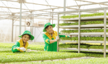 'Ông lớn' ngành bán lẻ Masan kiên định xây dựng nền tảng kinh doanh bền vững
