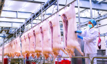 Masan MEATLife và hành trình định hình thị trường thịt mát