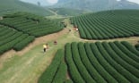 Điểm thu hút khách du lịch đến với Sơn La dịp nghỉ lễ 30/4-1/5