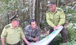 Kiểm lâm Sơn La không ngừng nỗ lực, kiên trì bảo vệ và phát triển rừng