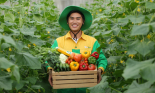 WinEco xuất khẩu xà lách thủy tinh sang thị trường Hàn Quốc nhờ chiến lược Go Global