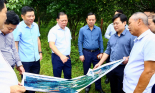 Bí thư Tỉnh ủy Hòa Bình yêu cầu khởi công dự án cao tốc Hòa Bình - Mộc Châu vào dịp 2/9