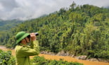 Điện Biên: Rà soát, xác định diện tích rừng, lập bản đồ chi trả dịch vụ môi trường rừng
