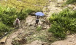Sạt lở đất ở Lào Cai khiến 4 người chết, 4 người mất tích và 9 người bị thương 