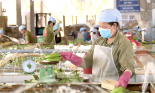 Giá trị sản xuất nông nghiệp của Đồng Nai dẫn đầu khu vực Đông Nam bộ, đâu là động lực chính?