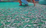 Vây lưới 'trúng' mẻ cá cơm tươi roi rói, ngư dân làng chài Bình Định vui vì có tiền, cười nói rôm rả