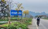 Đường hoa nông thôn mới đẹp như phim ở một xã NTM nâng cao của Ninh Bình, hoa phong linh vàng rực