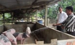 Đà Nẵng: Kiểm tra thực hiện chỉ thị số 05