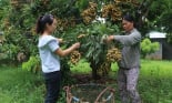 Lại thêm hàng trăm cán bộ khuyến nông Sơn La có nguy cơ mất việc