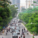 Hà Nội trồng thêm 250.000 cây xanh năm 2024 