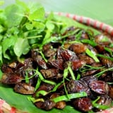 Kể chuyện làng: Đặc sản bọ xít trứ danh ngon 'quên đường về' của bà con người Thái Tây Bắc