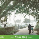 Nhớ những cái Tết rét mướt năm xưa