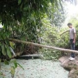Bí ẩn về 'hang nuối người' ở Lào Cai: Chuyện “thuồng luồng rửa hang” 5 năm 1 lần