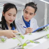 Đột phá KHCN từ Nghị quyết 57: Áp dụng cơ chế 'đặt hàng', tránh tình trạng 'trên rải thảm, dưới rải đinh' (Bài cuối)