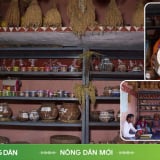 Có một ngân hàng dành riêng cho nông dân nhưng không cho vay tiền