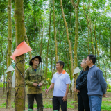 Tỷ phú ở Quảng Nam, Kon Tum dành hàng chục tỷ đồng giúp hộ nghèo, 873.581 hộ nghèo được nông dân giỏi hỗ trợ 