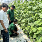 Thủ tướng Chính phủ phê duyệt Đề án bồi dưỡng cán bộ Hội Nông dân các cấp, nông dân giỏi, nông dân xuất sắc