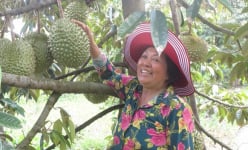 Chuyện làm giàu của nữ tỉ phú ươm cây giống ở Vĩnh Long
