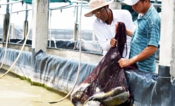 Bạc Liêu là tỉnh thứ 2 của ĐBSCL làm xong việc này đây