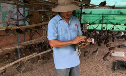 Bỏ việc ngân hàng, thanh niên về quê làm chuyện lạ đời, mở nhạc cho chim nghe, nuôi cá bống