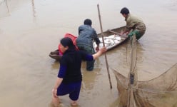 Phú Thọ: Lạ, nuôi cá cho ăn 'kiểu nhà nghèo', cá chậm lớn mà bán ai cũng đòi mua, nông dân này là tỷ phú