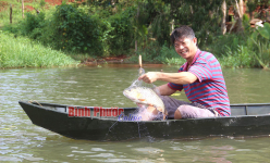 Hồ thủy lợi nào ở tỉnh Bình Phước mà dân mỗi ngày bắt được hàng tạ cá ngon, bán loanh quanh cũng hết sạch?