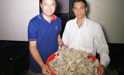 Hai “gã khùng” liều đi nuôi 'chim trời tiền tỷ' ở Kon Tum