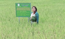 TGĐ Bùi Thị Hạnh Hiếu: “Trước sau, chúng tôi đồng hành, chung thủy với người tiêu dùng, nông dân”