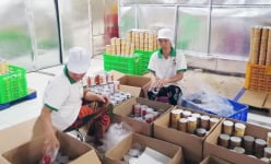 Bến Tre: 'Cặp đôi hoàn hảo' rủ nhau về quê làm giàu từ dừa sấy giòn