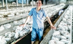 9X Nghệ An thu nhập hơn 500 triệu mỗi năm nhờ nuôi thỏ New Zealand, tổng đàn 1.000 con
