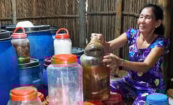 Bạc Liêu: Cá trắm cỏ ở nơi khác chỉ kho với hấp, ở đây dân đem muối mắm mà nổi như cồn