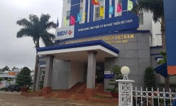 Nhân viên ngân hàng vay nợ 170 tỷ đồng để đáo hạn ngân hàng