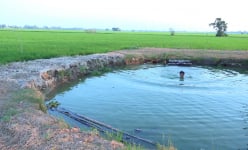 An Giang: Ly kỳ giếng nước cổ to như cái ao hơn trăm năm nay chưa từng cạn