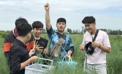 Đồng Tháp: Có cái ruộng 'rau vua' và 1 cái ao sen thôi, sao dân teens lại thích vô 'nghịch'
