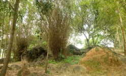 Bí ẩn nơi 'đá ong đẻ vàng' ở Bình Dương, chứa hàng vạn cổ vật quý giá
