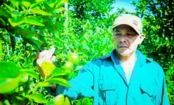 Hà Tĩnh: Một nông dân “trốn” lên núi đá trồng cây, nuôi con đặc sản, ai lên thăm cũng bất ngờ