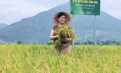 Bảo Minh muốn nắm chắc tay nông dân khi bước ra thế giới