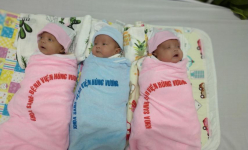 TP.HCM: 91 ngày giành sự sống cho ca sinh ba siêu non tháng